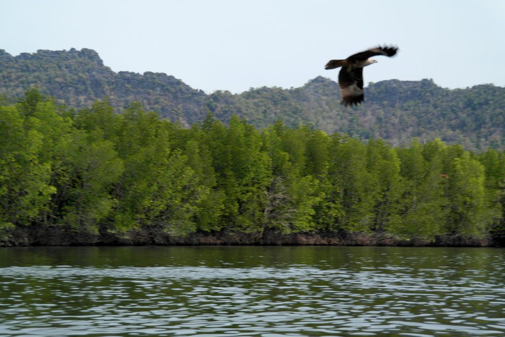 Malaisie - 2014-02 - Langkawi