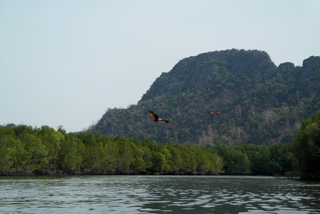 Malaisie - 2014-02 - Langkawi