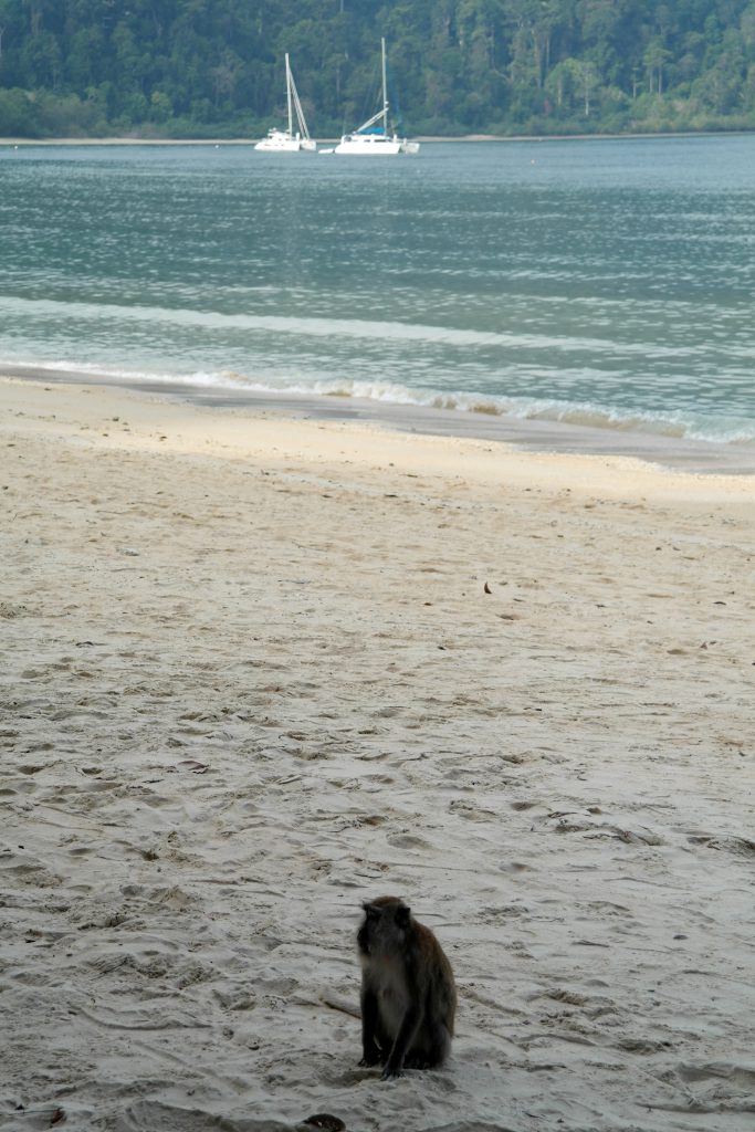 Malaisie - 2014-02 - Langkawi