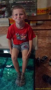 Bali - Ubud - 2014 - Tyti au fish spa