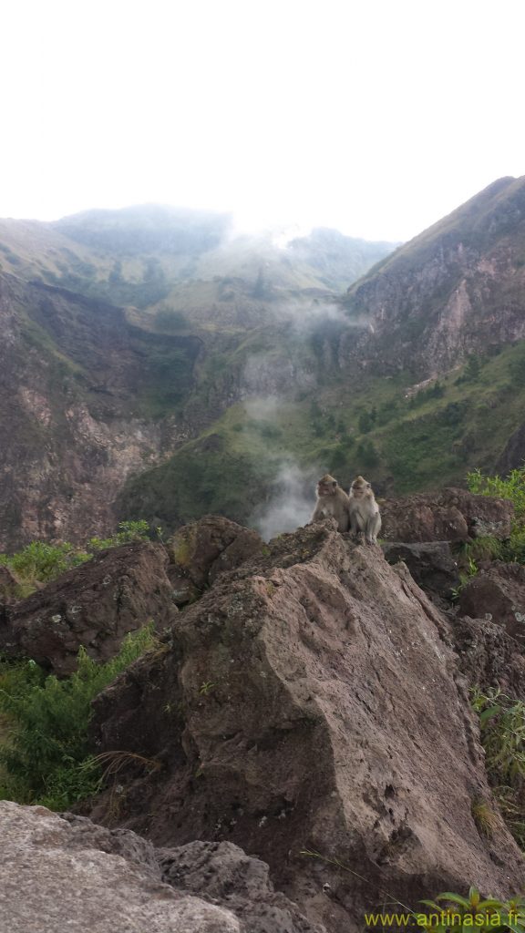2014 - Gunung Batur - Singes et Fumerolles