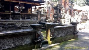 Bali 2014 - Ubud - La fotêt des Singes