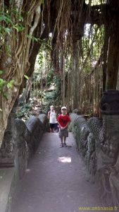 Foret des Singes - Le Pont en Pierre 