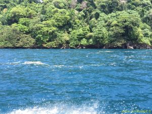 Java - 2016 - Krakatau - Détritus en mer
