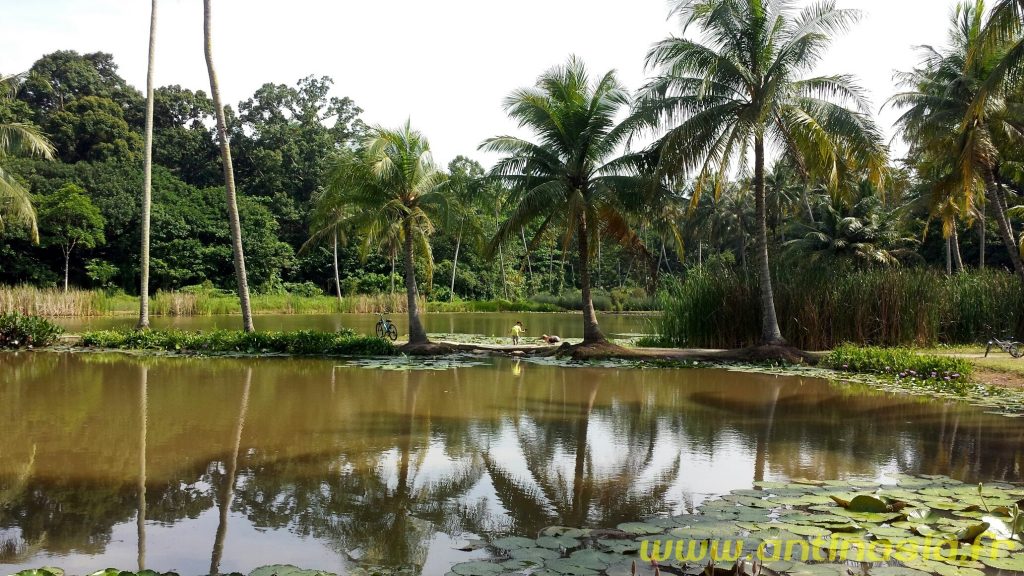 Pulau Ubin