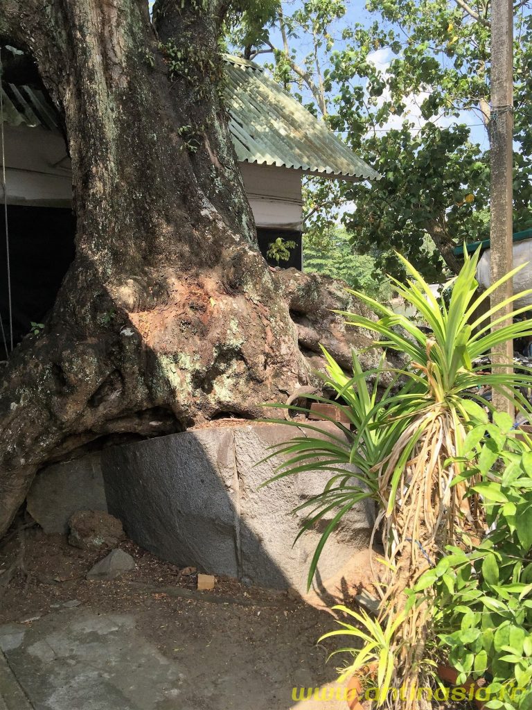 Pulau Ubin