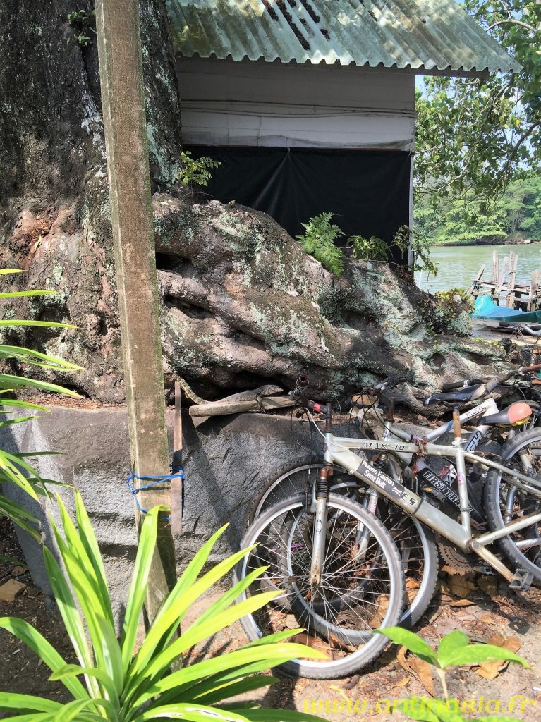 Pulau Ubin
