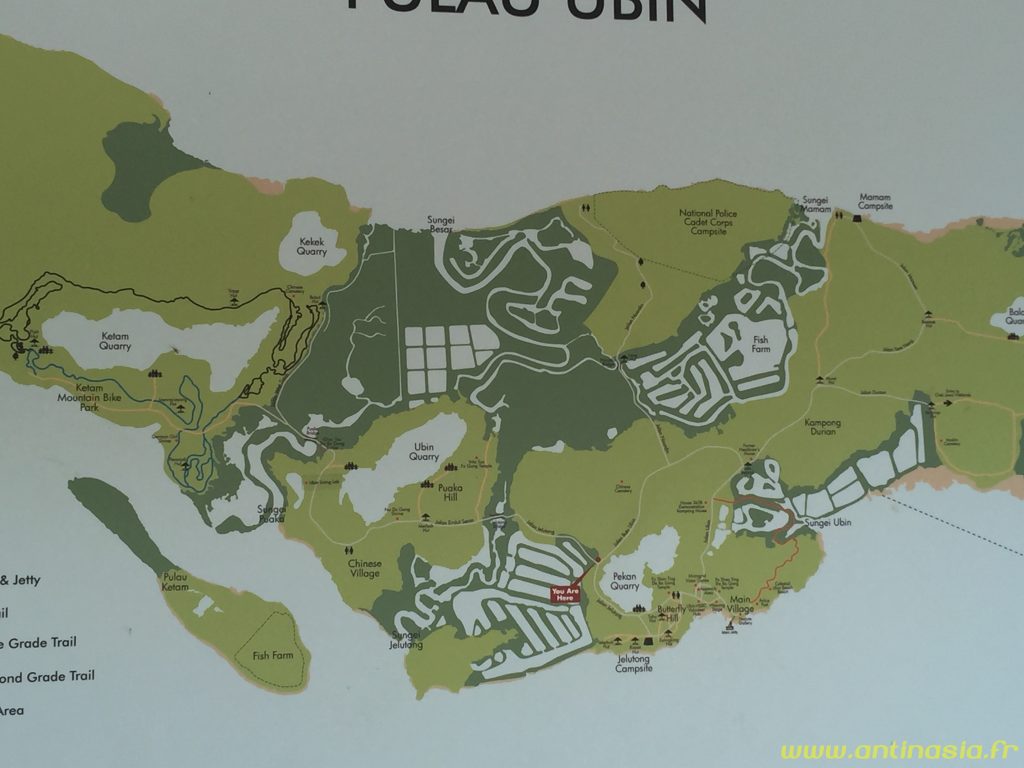 Pulau Ubin