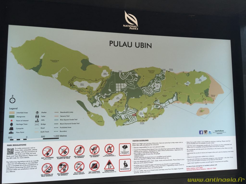Pulau Ubin