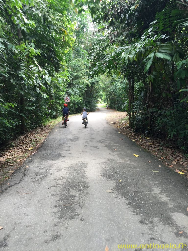 Pulau Ubin