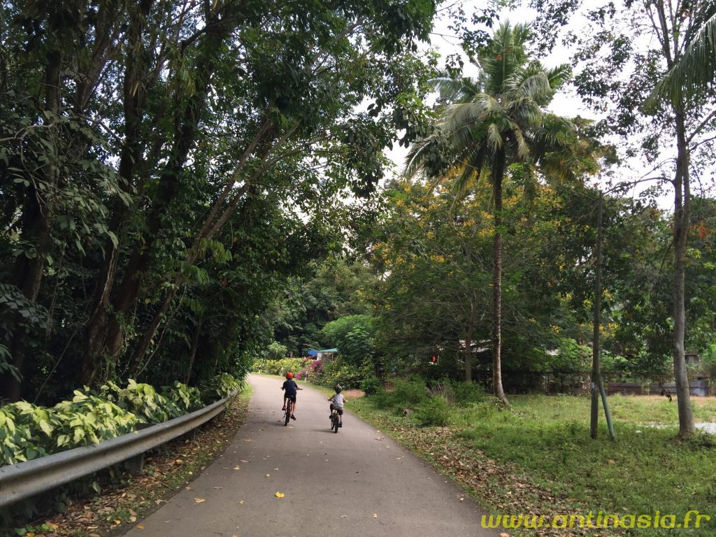 Pulau Ubin