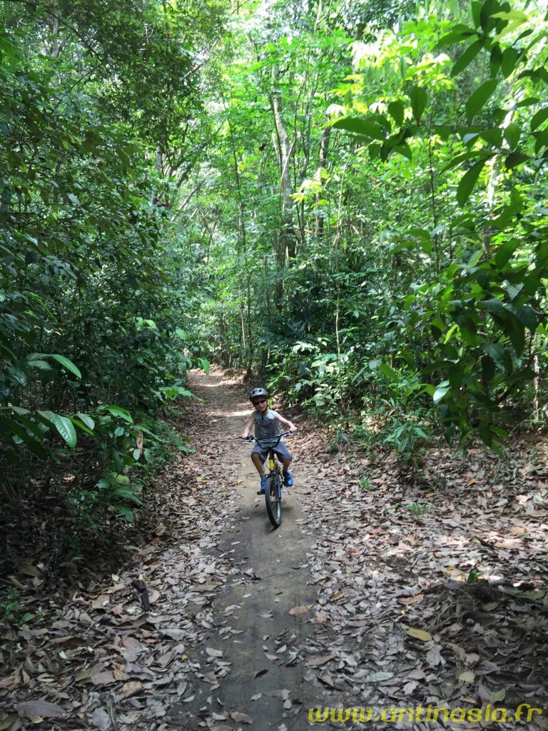 Pulau Ubin