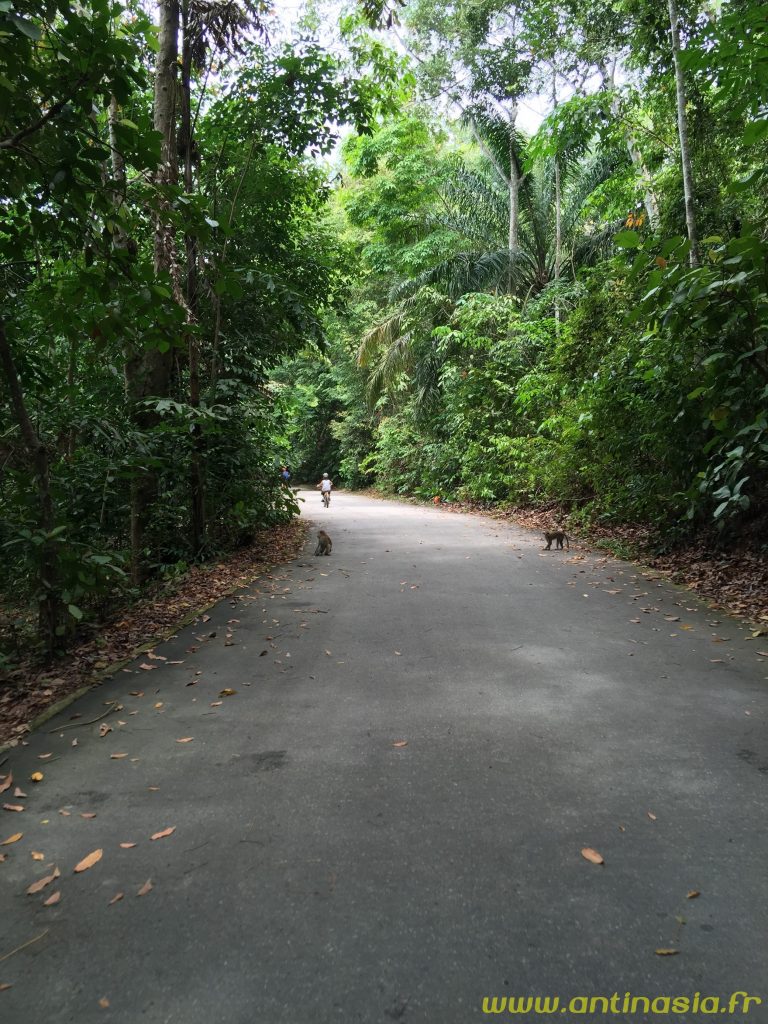 Pulau Ubin