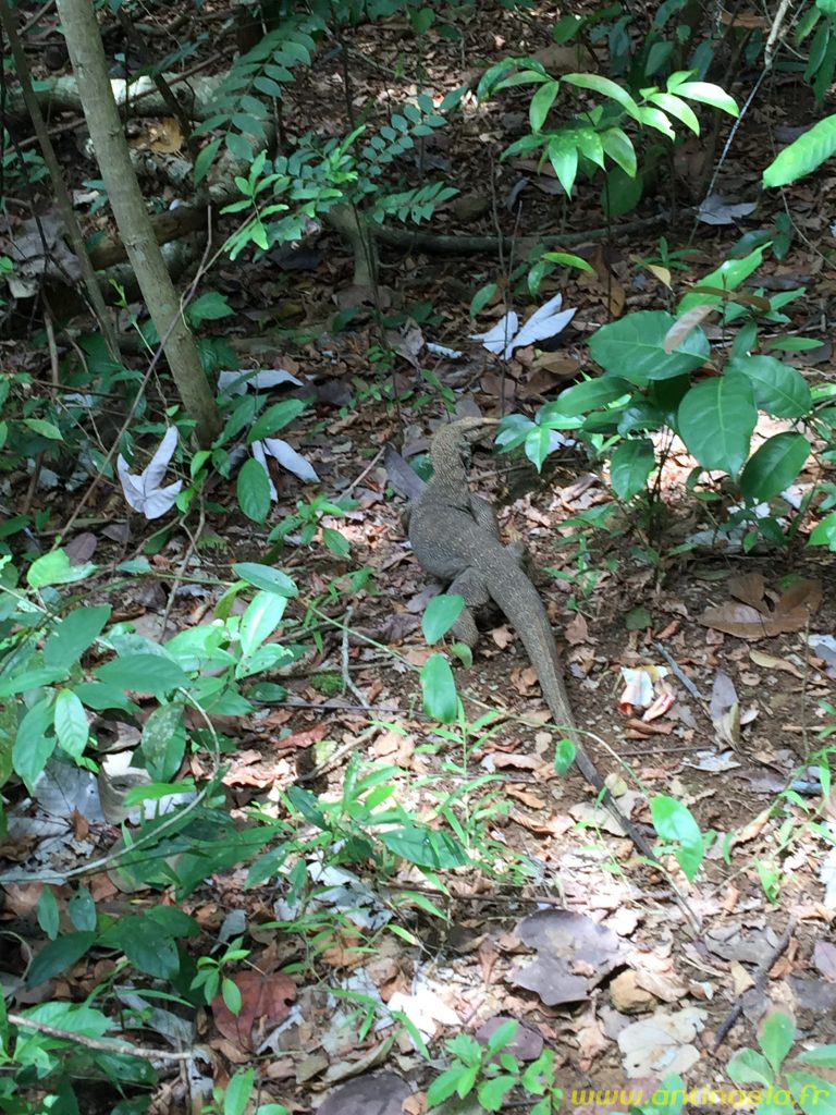 Pulau Ubin