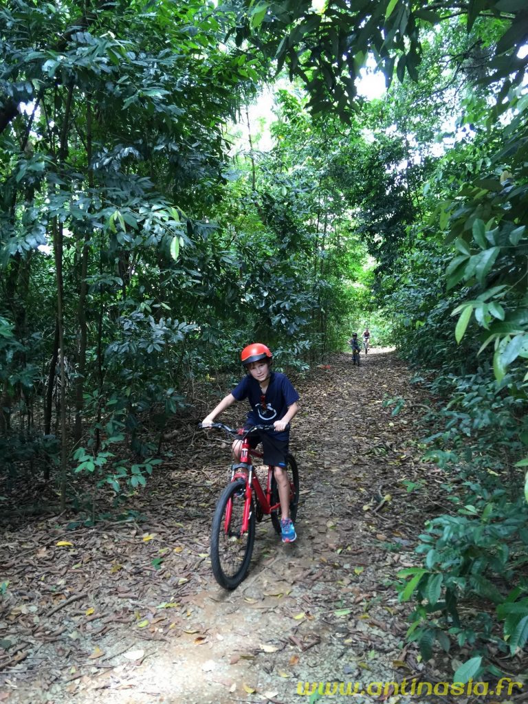 Pulau Ubin