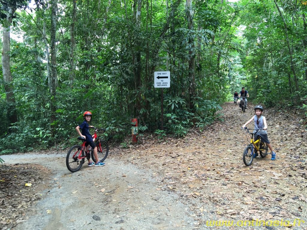 Pulau Ubin