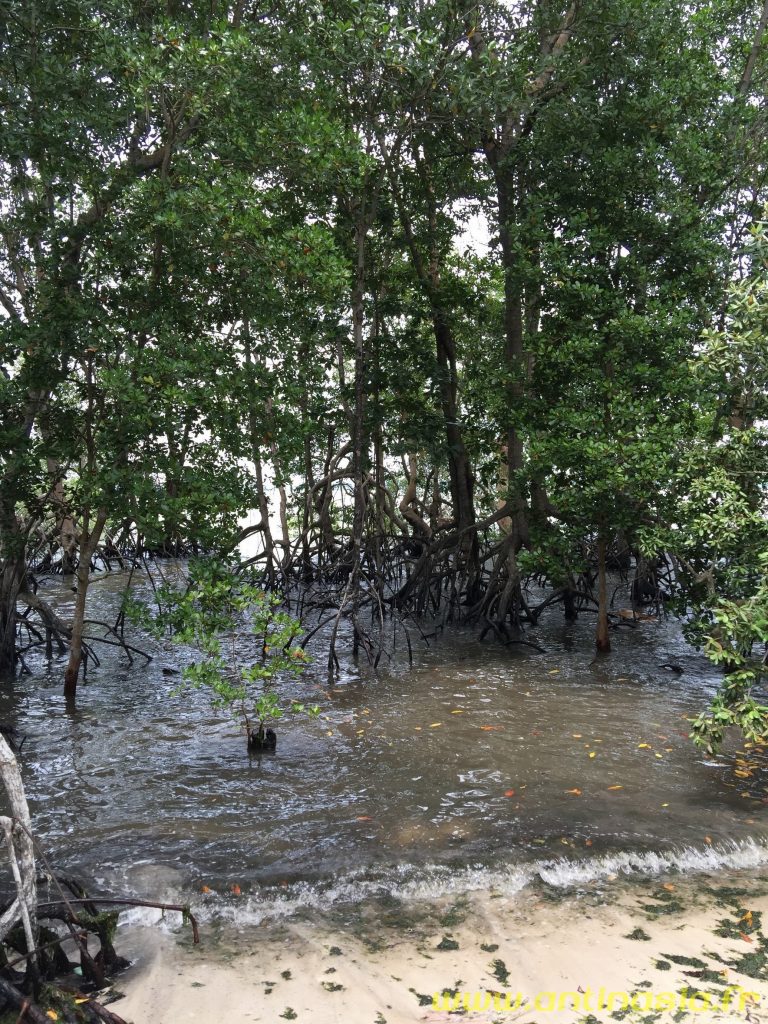 Pulau Ubin
