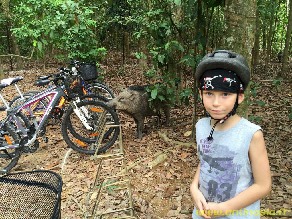 Pulau Ubin